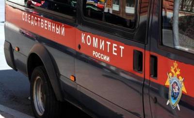 Ямальского мальчика, который сбежал из интерната, считают погибшим - news.megatyumen.ru - окр. Янао