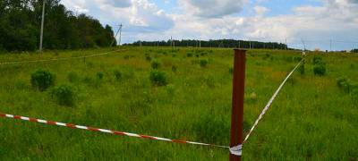 Проверка выявила множество незаконно занятых земельных участков в Карелии - stolicaonego.ru - Россия - республика Карелия