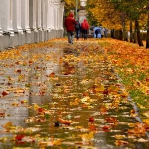 В Запорожской области прогнозируют осадки - reporter-ua.com - Запорожская обл. - Запорожье