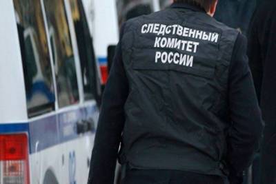 В Туле парень напал на полицейского с ножом - tula.mk.ru - Россия - Тула