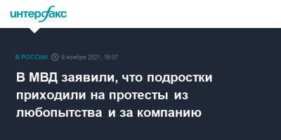 В МВД заявили, что подростки приходили на протесты из любопытства и за компанию - interfax.ru - Москва - Россия