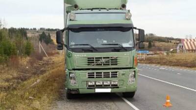 Полицейский на ходу остановил выехавшую на встречку фуру под Пермью - iz.ru - Россия - Израиль - Пермь - Пермский край