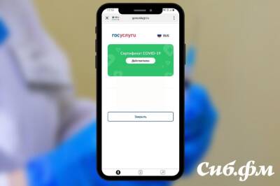 Андрей Травников - В Новосибирской области введут QR-коды для посещения кафе и ресторанов с 12 ноября - sib.fm - Новосибирская обл.