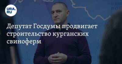 Александр Ильтяков - Депутат Госдумы продвигает строительство курганских свиноферм - ura.news - Курганская обл.