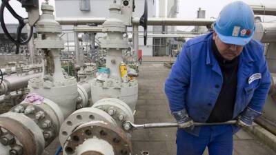 Экономист Куликова прокомментировала ситуацию с ценами на газ в Европе - russian.rt.com - Россия