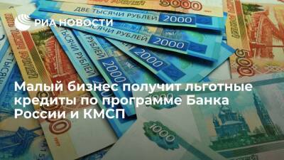 Малый бизнес получит льготные кредиты по программе Банка России и КМСП - ria.ru - Москва - Россия