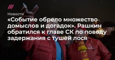 Вячеслав Володин - Валерий Рашкин - «Событие обрело множество домыслов и догадок». Рашкин обратился к главе СК по поводу задержания с тушей лося - tvrain.ru - Россия - Саратовская обл.