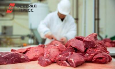 Подвели корм и упаковка: будет ли в России дешеветь мясо - fedpress.ru - Россия