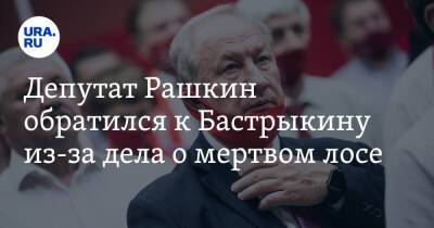 Александр Бастрыкин - Валерий Рашкин - Депутат Рашкин обратился к Бастрыкину из-за дела о мертвом лосе. Скрин - ura.news - Россия - Царьград - Саратовская обл.