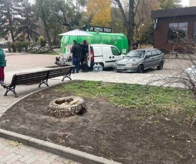 Ростовчан возмутила массовая вырубка деревьев на Университетском - privet-rostov.ru
