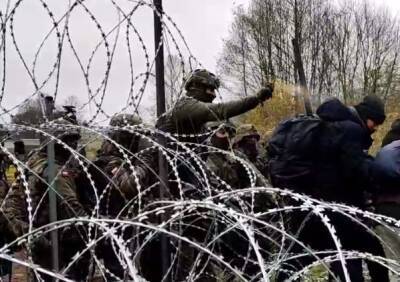 ГПК: Перед польскими заграждениями на линии границы находится более двух тысяч беженцев - naviny.by - Белоруссия - Польша