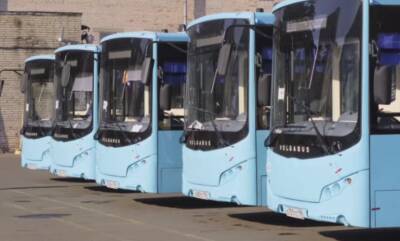 Экологичные автобусы компании «Вест-сервис» начали курсировать по улицам Петербурга - neva.today - Санкт-Петербург - Экология