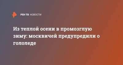 Из теплой осени в промозглую зиму: москвичей предупредили о гололеде - ren.tv - Москва - Россия - Красноярск - Магадан - Владивосток