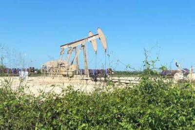 Добыча нефти в США в 2022 году может вырасти на 0,6 млн барр/сутки - документ ОПЕК+ - smartmoney.one - Москва - Россия - США - Саудовская Аравия