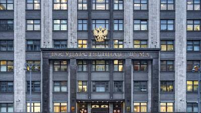 Светлана Бессараб - В Госдуме оценили основания для приостановки ПФР выплаты пенсии - iz.ru - Россия - Израиль