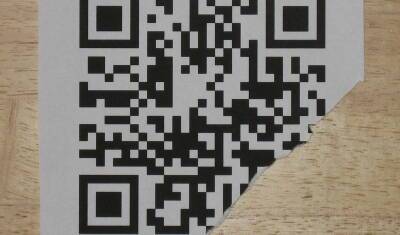 Власти РФ не планируют сокращать сроки действия QR-кодов - mkset.ru - Россия