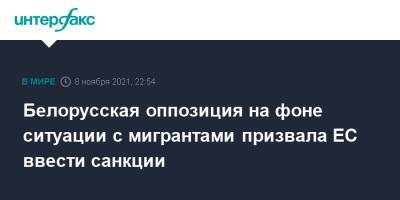 Павел Латушко - Белорусская оппозиция на фоне ситуации с мигрантами призвала ЕС ввести санкции - interfax.ru - Москва - Белоруссия - Польша