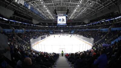 В КХЛ считают, что лига пока не готова к введению Fan ID - russian.rt.com - Россия