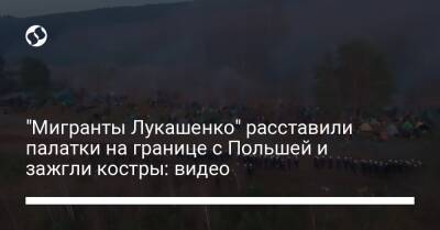 "Мигранты Лукашенко" расставили палатки на границе с Польшей и зажгли костры: видео - liga.net - Украина - Польша