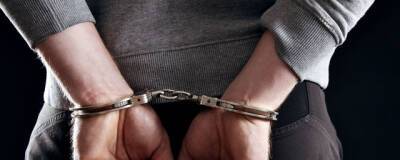 В Новосибирске тиктокера обвиняют в изнасиловании 13-летней подписчицы - runews24.ru - Новосибирск