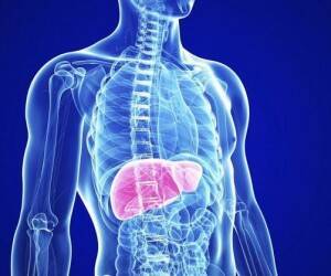 Признаки нарушения работы печени — health info - goodnews.ua