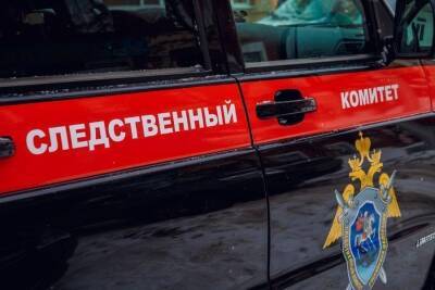 Александр Бастрыкин - Бастрыкин взял на контроль дело об угрозах коллекторов взорвать школу №207 в Новосибирске - sib.fm - Россия - Новосибирск
