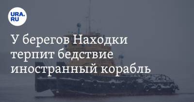 У берегов Находки терпит бедствие иностранный корабль. Видео - ura.news - Китай - Панама