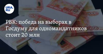 РБК: победа на выборах в Госдуму для одномандатников стоит 20 млн - ura.news - Россия