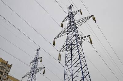 Евгений Шевченко - СМИ: Белоруссия прекратила подачу электричества на Украину - vm.ru - Украина - Белоруссия