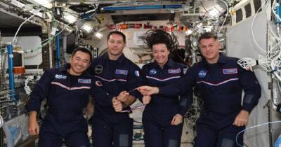 Томас Песке - Астронавты SpaceX ступили на землю впервые за полгода - dsnews.ua - Украина - Франция - Япония - Мексика - шт.Флорида - Twitter