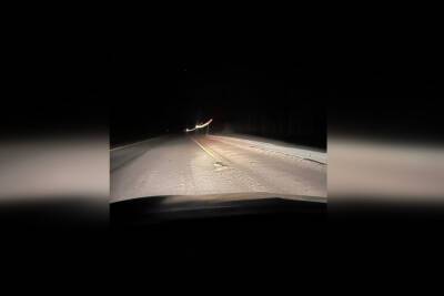 Утро жестянщика: в Петербурге первые заморозки - spb.mk.ru - Санкт-Петербург