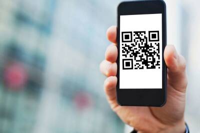 Билеты с QR-кодами могут появиться в петербургском общественном транспорте в 2022 году - spb.mk.ru