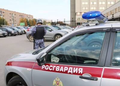 Боец СОБРа погиб в Петербурге при задержании телефонного мошенника - province.ru - Россия - Ленинградская обл. - Санкт-Петербург - р-н Всеволожский