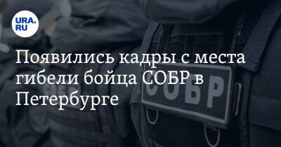 Появились кадры с места гибели бойца СОБР в Петербурге. Видео - ura.news - Россия - Санкт-Петербург