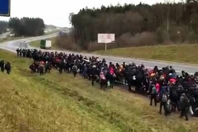 Польша потребовала санкций против причастных к миграционному кризису - mk.ru - Белоруссия - Польша