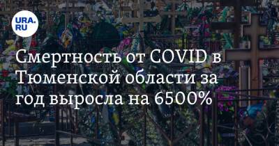 Смертность от COVID в Тюменской области за год выросла на 6500% - ura.news - Тюменская обл.