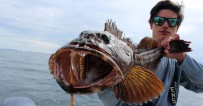 Кошмар стоматолога. Тихоокеанская рыба ежедневно теряет до 20 зубов и отращивает новые - focus.ua - Украина - New York
