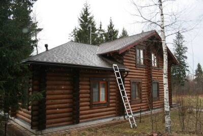 Смоляне и гости из столицы вновь обосновались в пригороде - rabochy-put.ru - Смоленск - Смоленская обл.