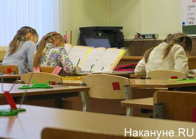 Алексей Текслер - Ирина Гехт - В школах Челябинской области не будут продлевать дистант - nakanune.ru - Челябинская обл.
