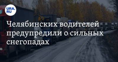 Челябинских водителей предупредили о сильных снегопадах - ura.news - Челябинская обл.