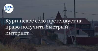 Курганское село претендует на право получить быстрый интернет - ura.news - Курганская обл.