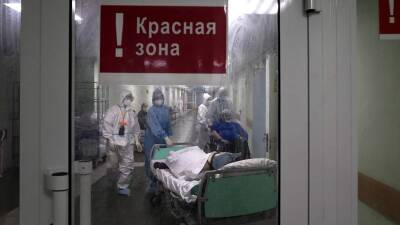 Владимир Чуланов - В РФ развернули более 300 тыс. больничных коек для пациентов с COVID-19 - iz.ru - Россия - Санкт-Петербург - Израиль