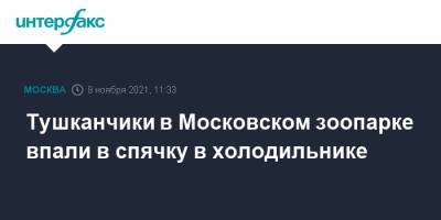 Тушканчики в Московском зоопарке впали в спячку в холодильнике - interfax.ru - Москва