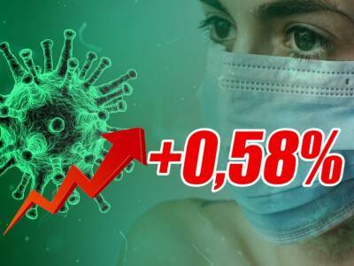 Динамика коронавируса на 9 ноября: новый максимум смертей - bloknot.ru - Москва - Россия - США