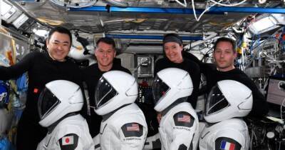 200 дней позади: астронавты SpaceX Crew-2 вернулись на Землю (фото, видео) - focus.ua - Украина - Киев - шт.Флорида