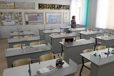Ирина Гехт - Школы Челябинкой области со следующей недели вернутся к очному режиму обучения - власти - interfax-russia.ru - Челябинская обл. - Челябинск