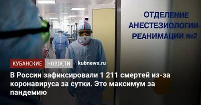 В России зафиксировали 1 211 смертей из-за коронавируса за сутки. Это максимум за пандемию - kubnews.ru - Москва - Россия - Санкт-Петербург - Краснодарский край - Московская обл.