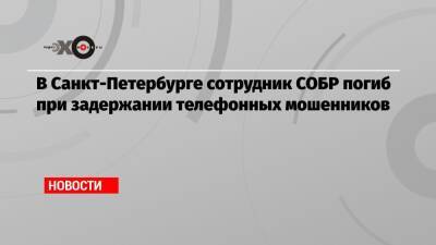 В Санкт-Петербурге сотрудник СОБР погиб при задержании телефонных мошенников - echo.msk.ru - Санкт-Петербург