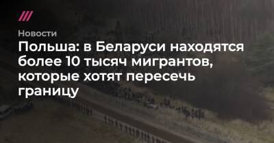 Польша: в Беларуси находятся более 10 тысяч мигрантов, которые хотят пересечь границу - tvrain.ru - Белоруссия - Польша - Литва - Варшава