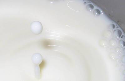 Прогноз: Предприятия сохранят производство молока на уровне прошлого года - agroportal.ua - Украина